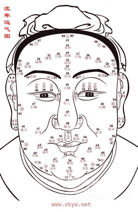 面相歲數|1到100岁，面相流年气运图教你如何看自己的面相